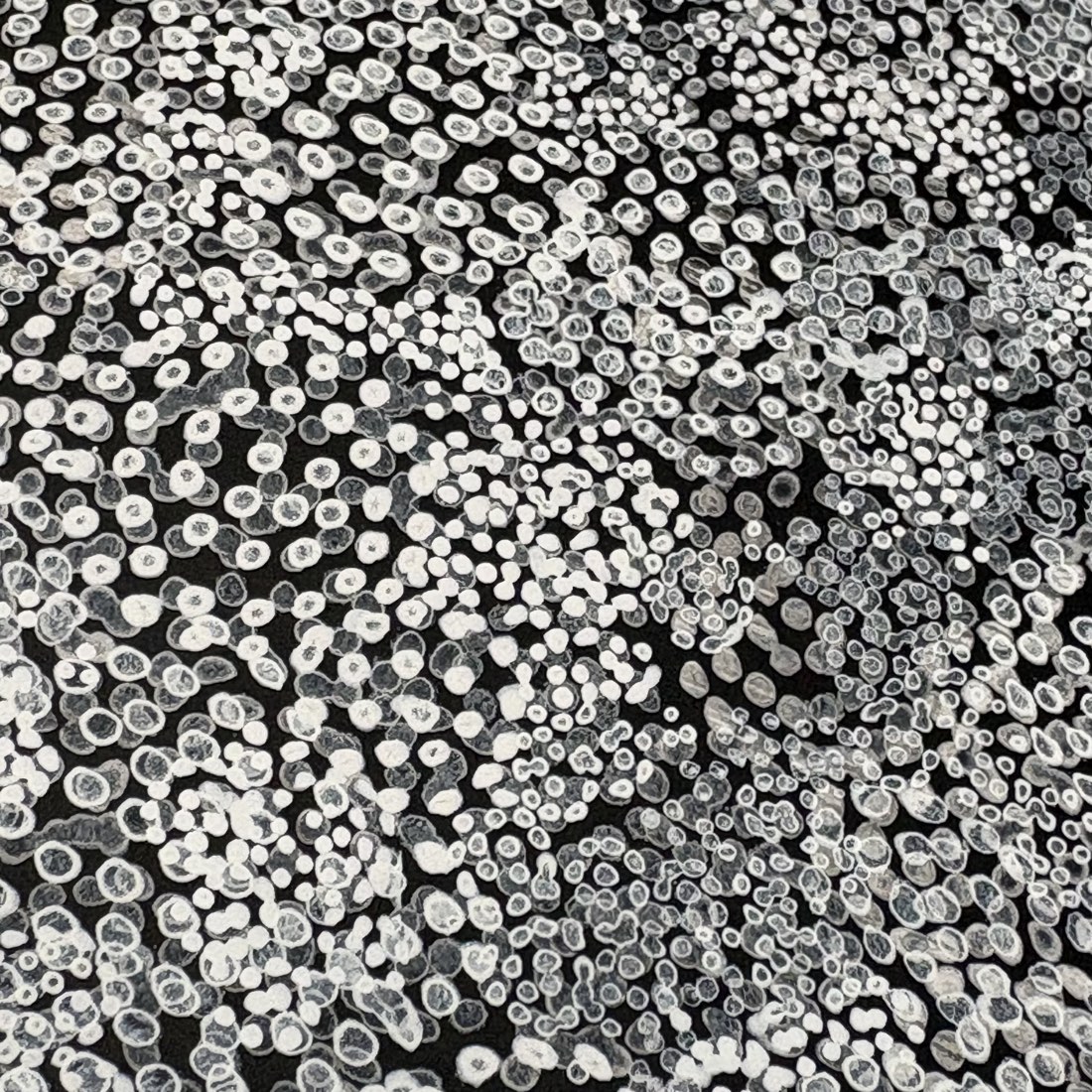 Extreme close-up of Thousand Dots 1: individual painted marks &mdash; rings, cells and clustered pairs in white and gray on black.