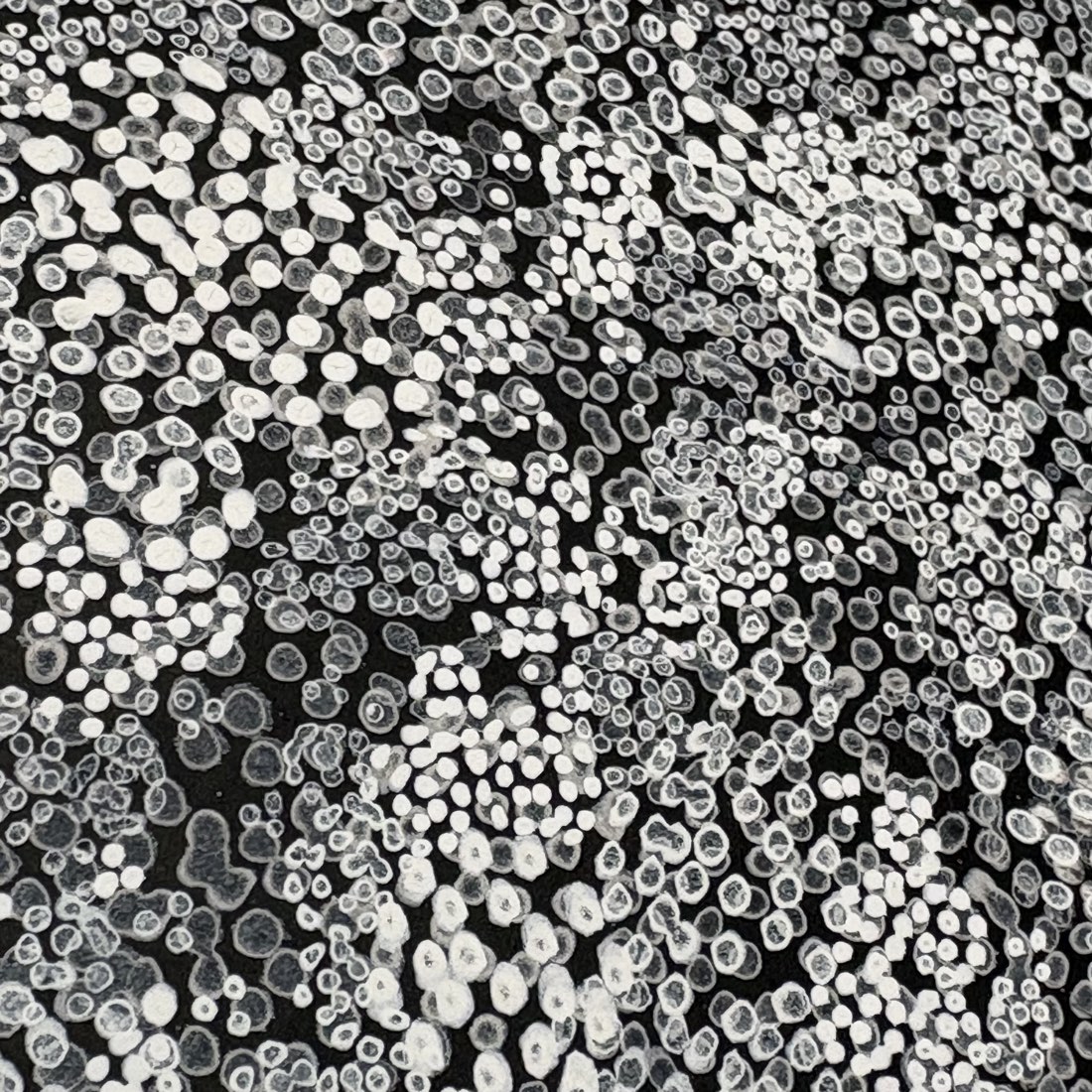 A second extreme close-up of Thousand Dots 1, the dots drifting into loose spirals across the black ground.