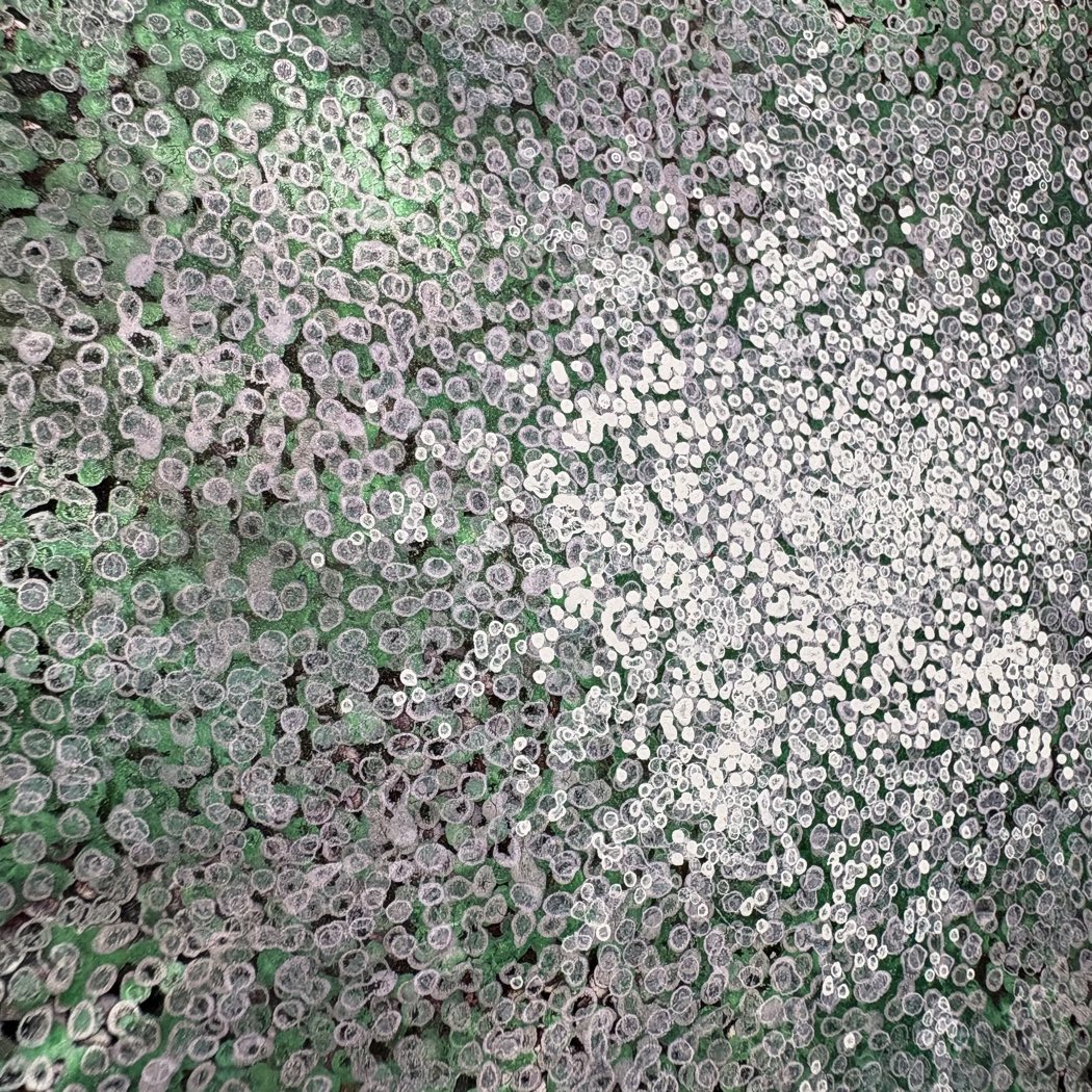 Close-up of Untitled: silvery-white dots massed over a green field, with flecks of plum.